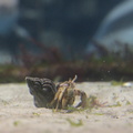  MR 0413