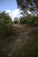  MR 0275
