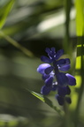  MR 0223