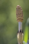 MR 0330