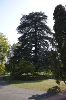 _MR_9334