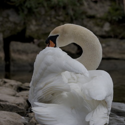 Veitshöchheim April 2018