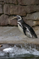 IMG_4564_01