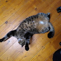 IMG 20221021 200010