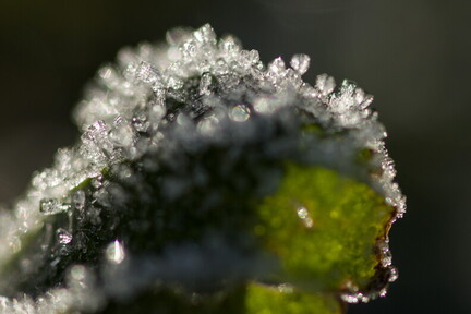 _62A3427